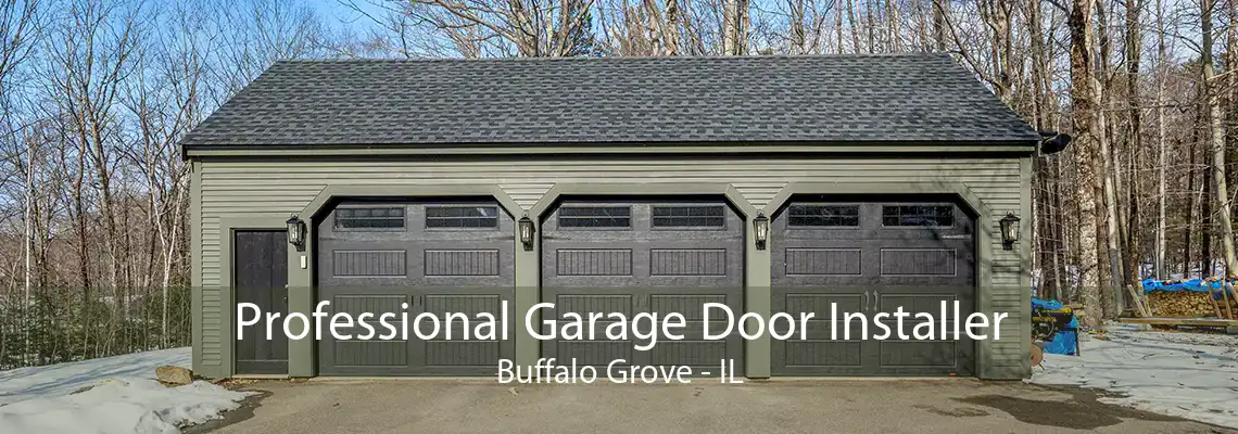 Professional Garage Door Installer Buffalo Grove - IL